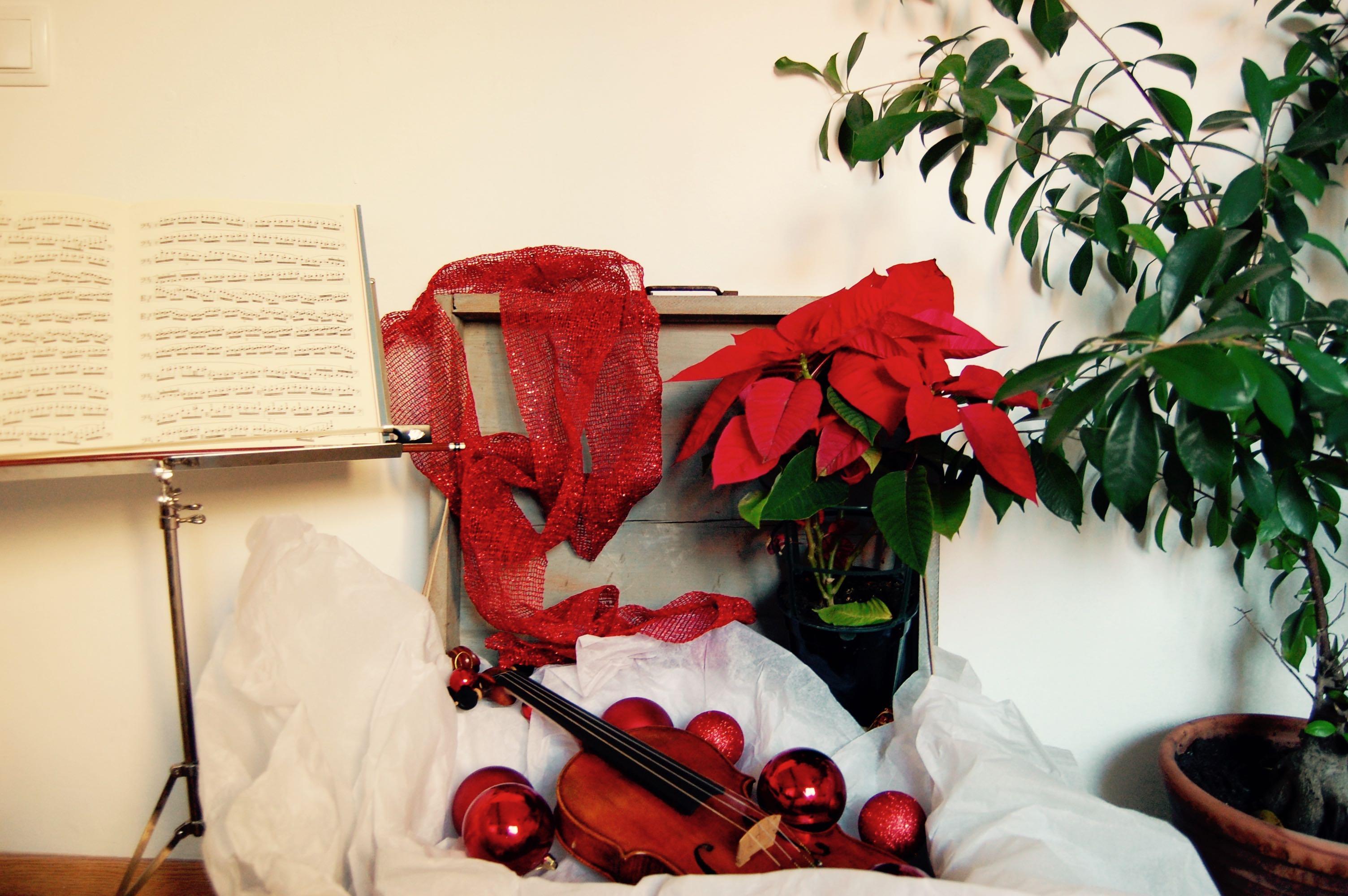 REGÁLALE UN VIOLIN, TE LO AGRADECERÁ POR SIEMPRE.