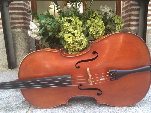 Cómo cambiar las cuerdas del violonchelo