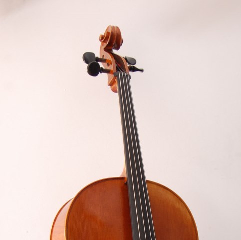 mastil