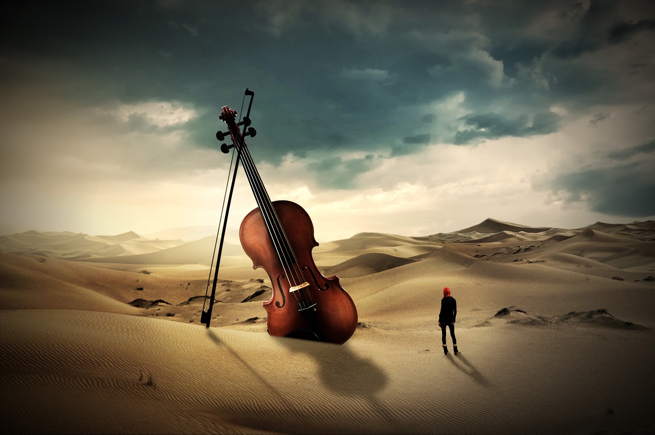 CUIDADOS DE LOS INSTRUMENOS DE CUERDA PARA EL VERANO