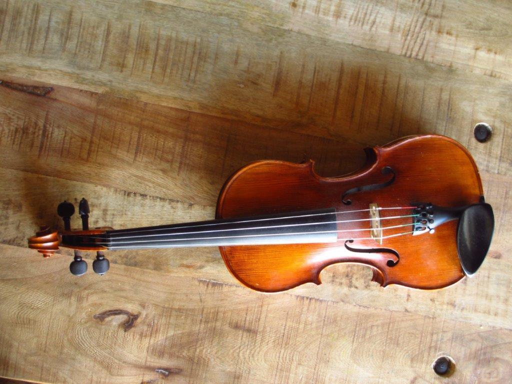 Violin 005
