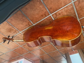 AnuncioDalia3