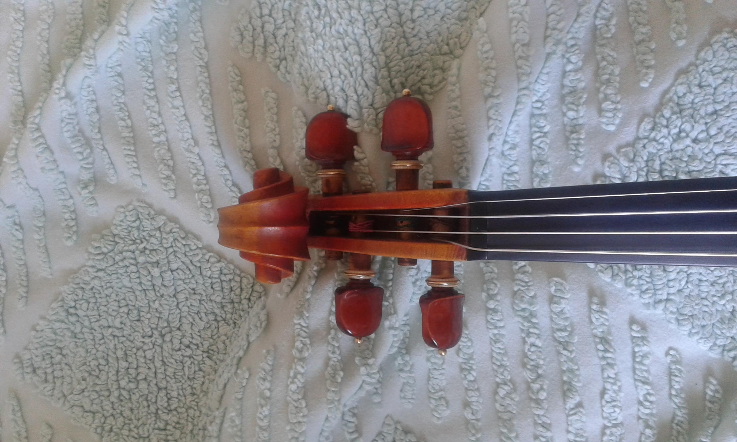 20160320 115652.violin M