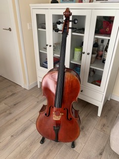 Violoncello Wood & Good de Ocasión