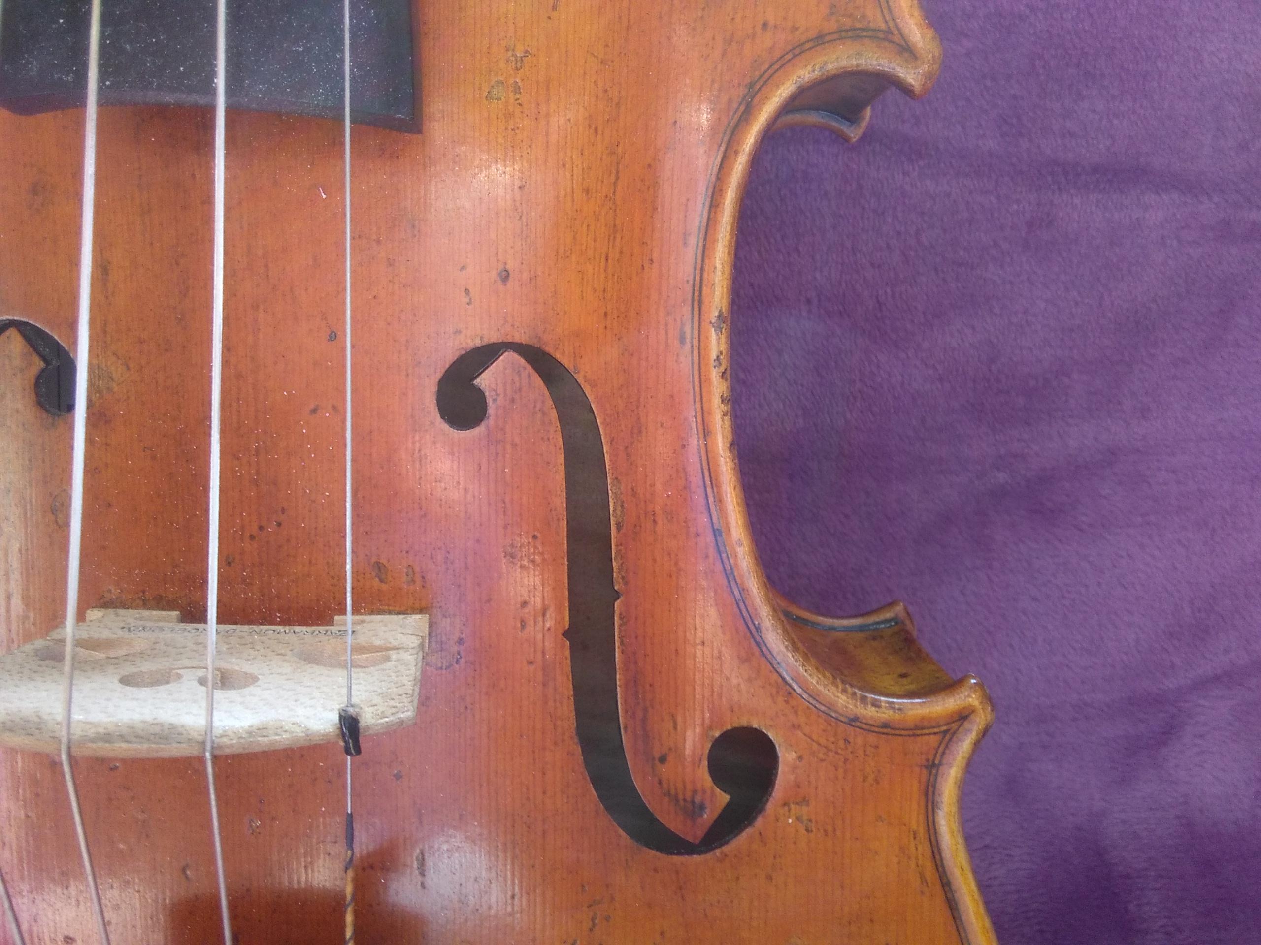 Viola OTTO