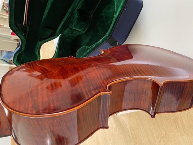 VIOLONCHELO VERACINI
