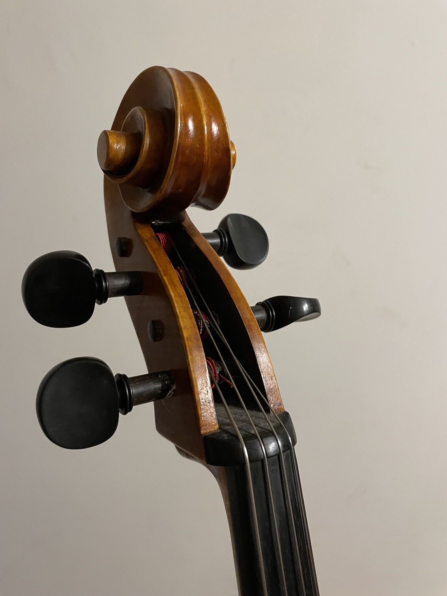 violoncello 7/8