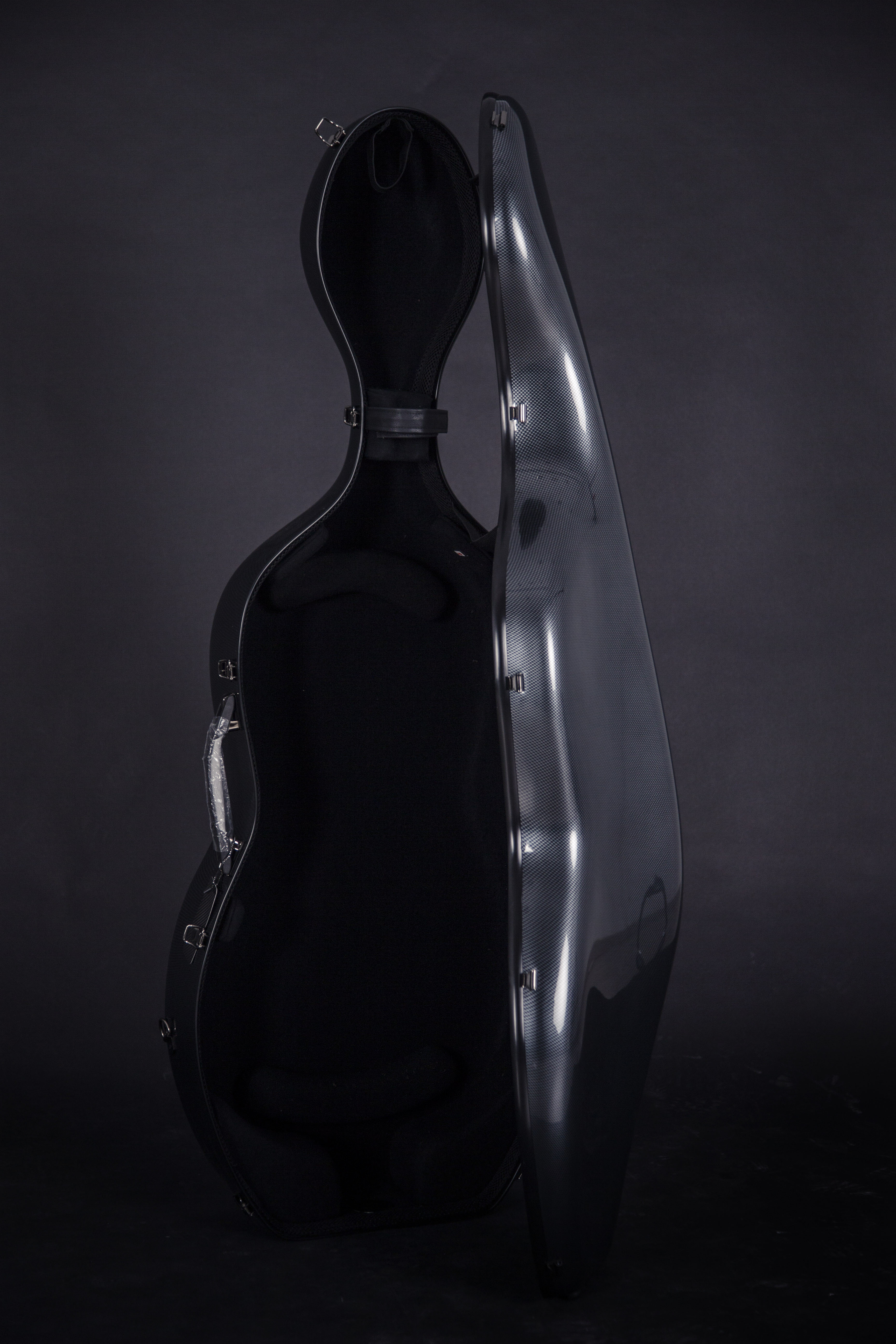 Estuche de carbono