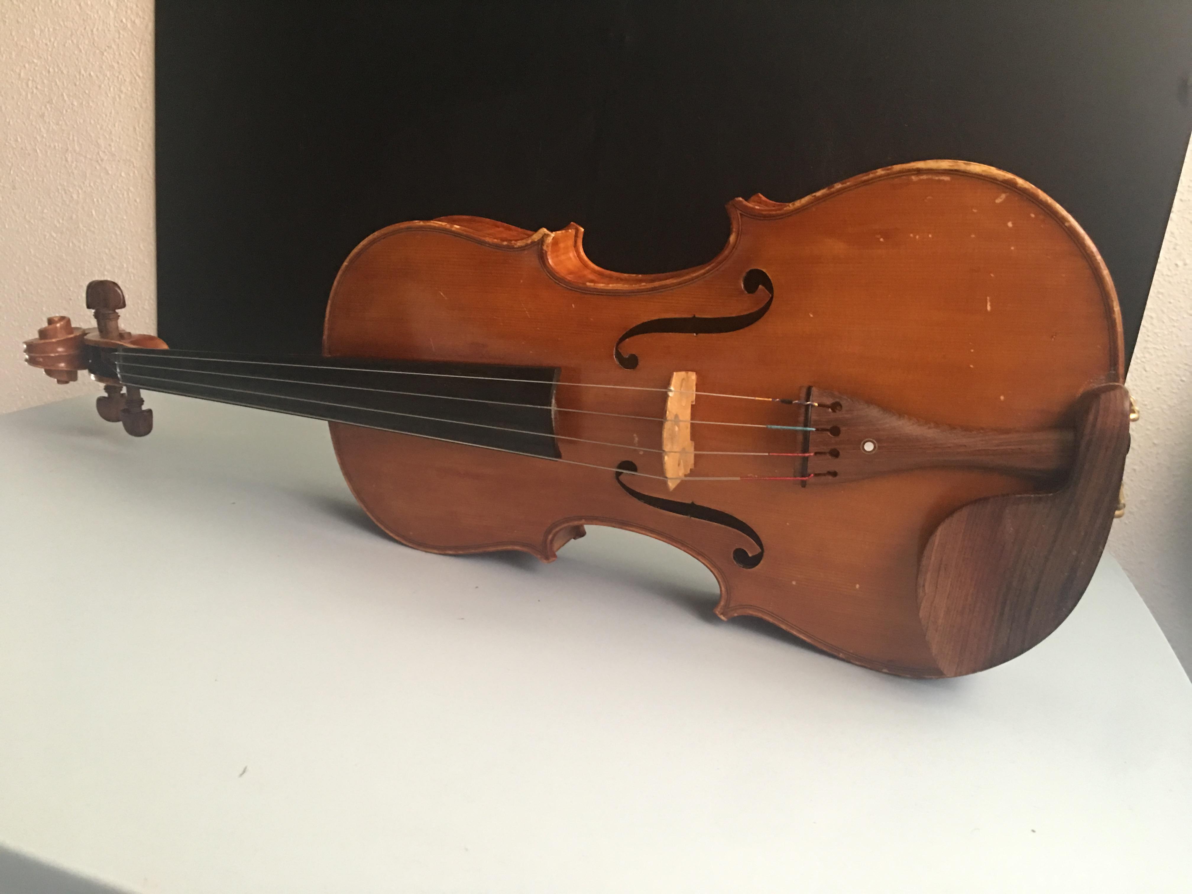 Image5.viola Nadia