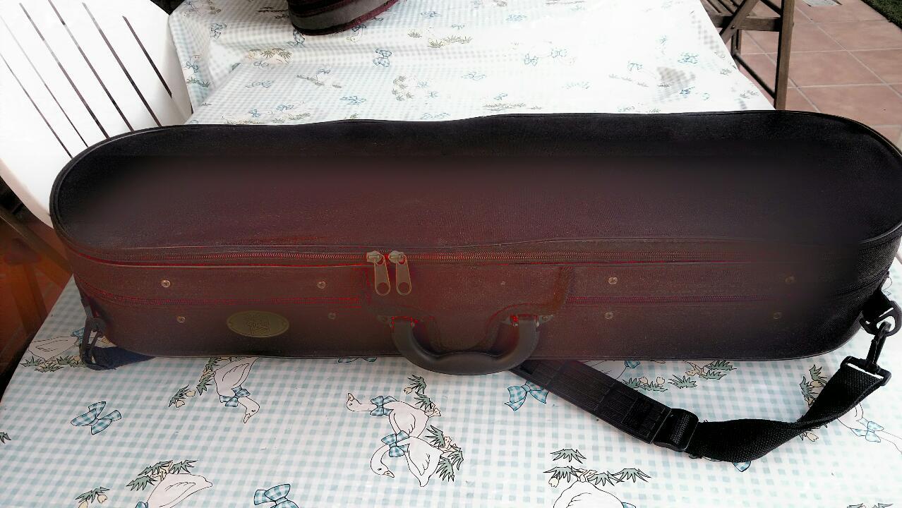 Viola 1322 0155