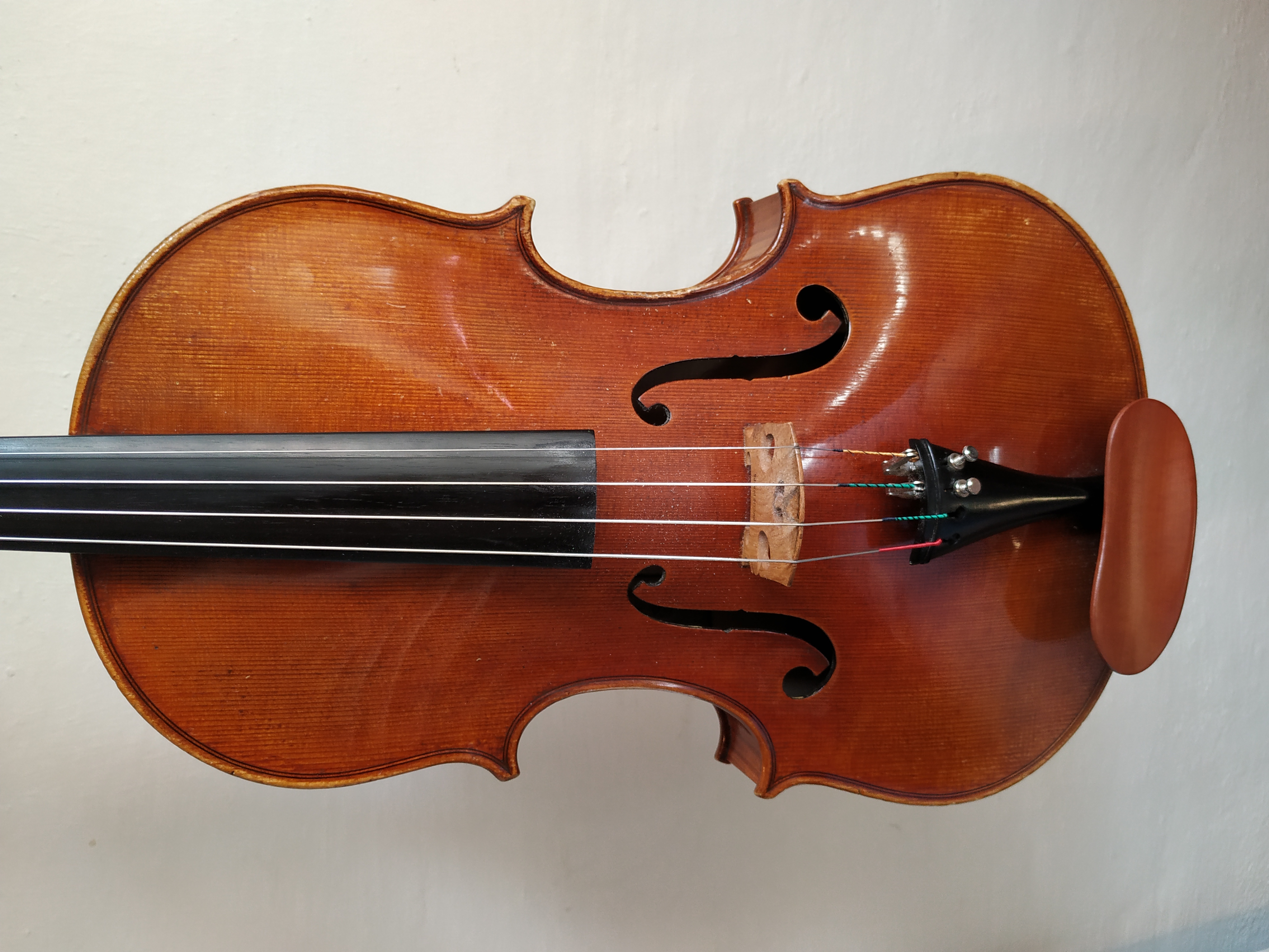 viola profesional