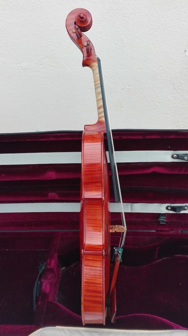 ViolinNatalia 20190920 111528