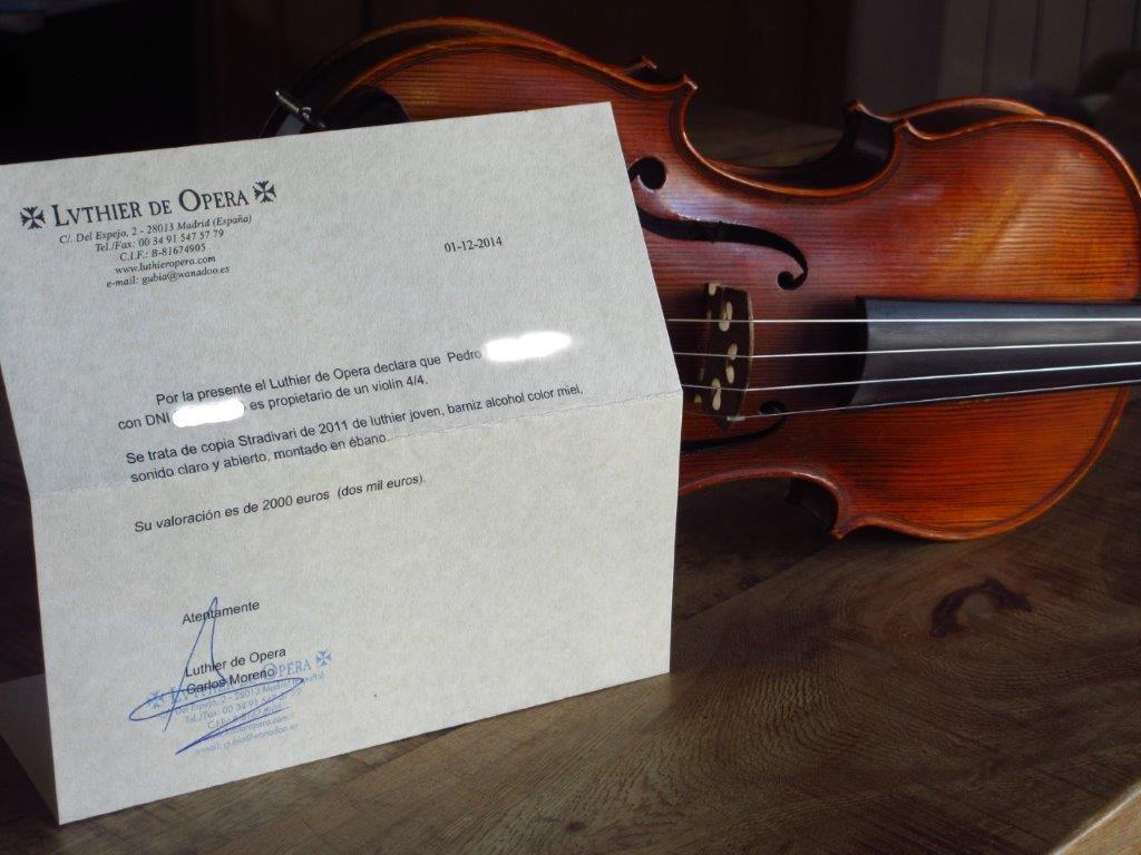 Violin 001