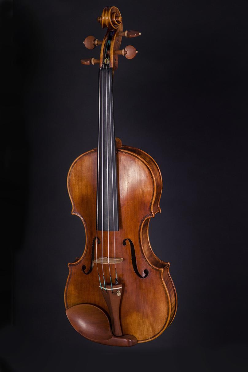 Violín Gold